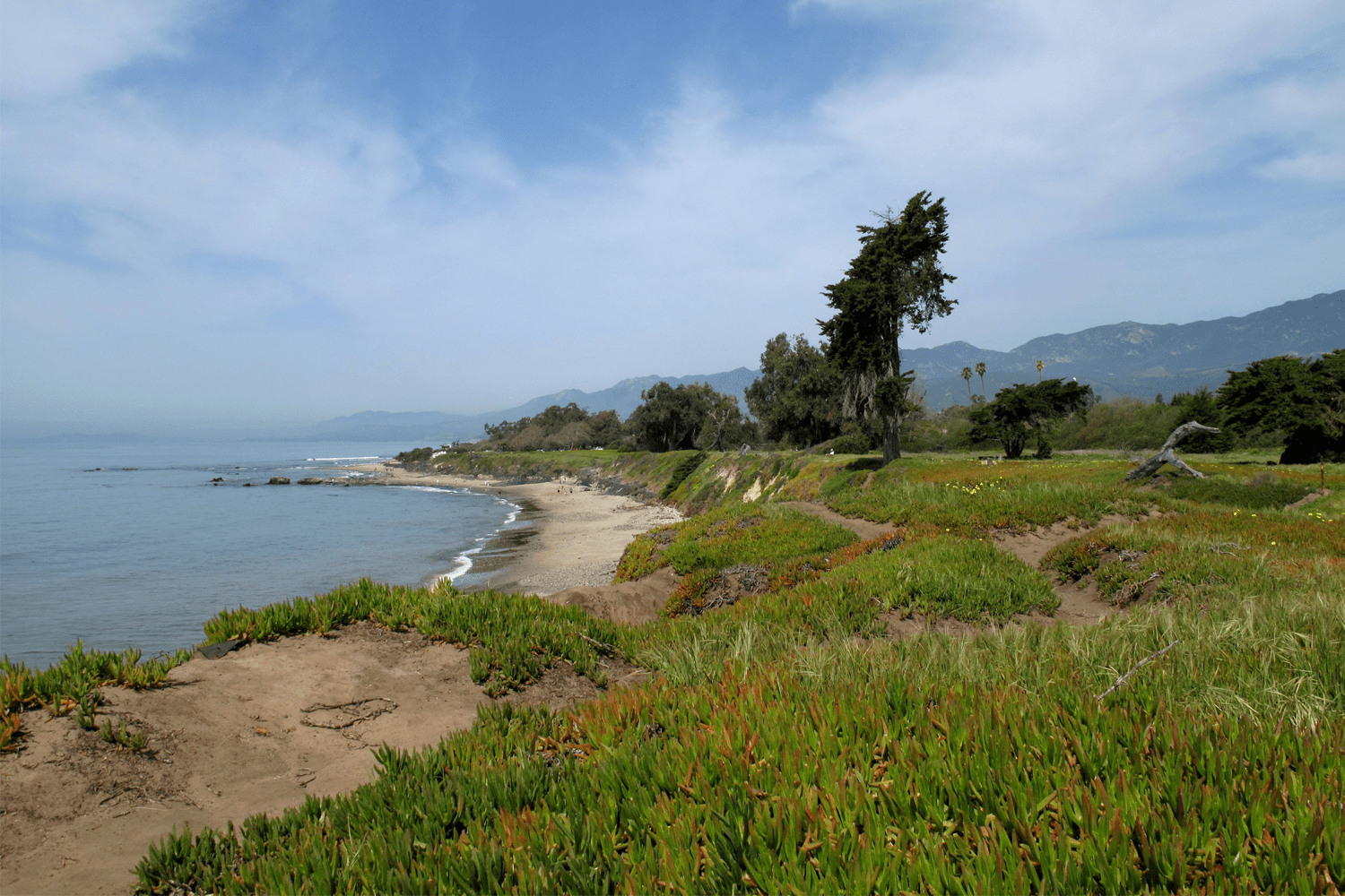 Carpinteria State Beach